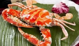 网友爆料双壳蟹视频大全,网友爆料，海洋美味背后的秘密