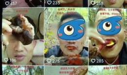 野生菌爆料视频播放,视频揭秘菌类世界奇观