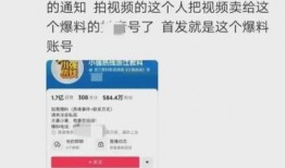 被爆料拍违法视频,涉嫌违法视频拍摄事件引发社会关注
