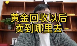 珍珍妹爆料海哥视频,珍珍妹独家爆料，揭秘背后惊人真相！